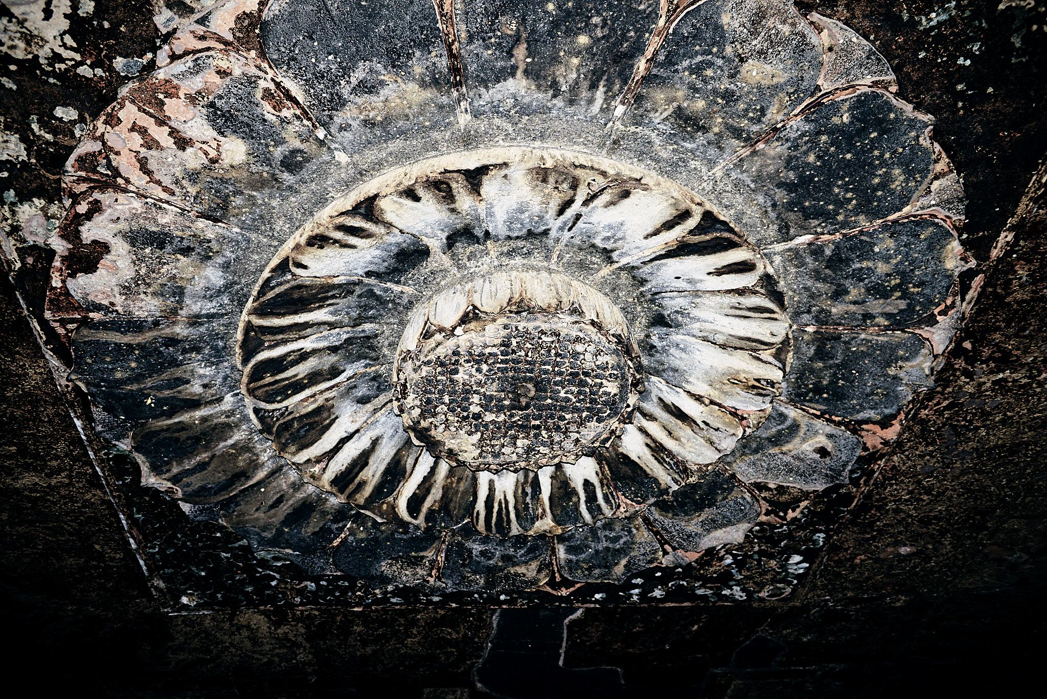 20140103 220 아우랑가바드 엘로라 석굴